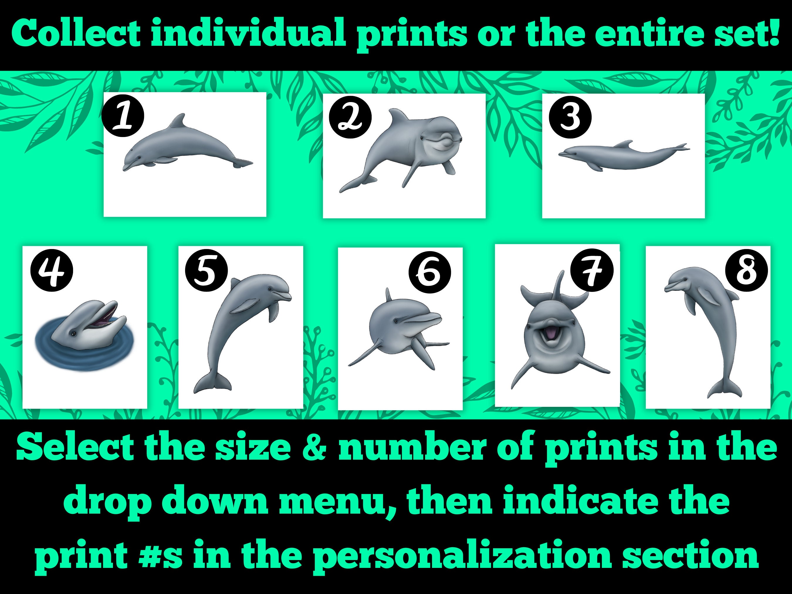 Bottlenose Dolphin Print Set Coastal Ocean Decor Dolphin Wall Art ...