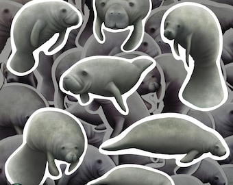 Manatee Magnet Set Waterproof Vinyl Marine Animal Magnets for Refrigerator Aquatic Wildlife Kitchen Decor Gift for Manatee Lover