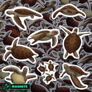 Sea Turtle Magnet Set Waterproof Vinyl Marine Magnets for Refrigerator Ocean Wildlife Kitchen Decor Gift for Turtle Lover