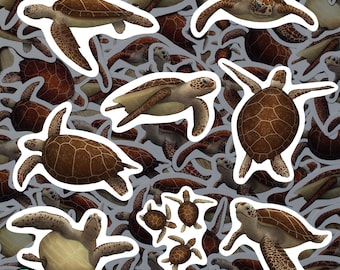 Sea Turtle Magnet Set Waterproof Vinyl Marine Magnets for Refrigerator Ocean Wildlife Kitchen Decor Gift for Turtle Lover