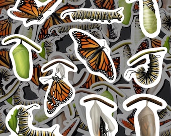 May include: A colorful illustration of a butterfly life cycle with butterflies, caterpillars, and chrysalises in various stages of development. The illustration is set against a dark background and features a variety of colors, including orange, black, green, and white.