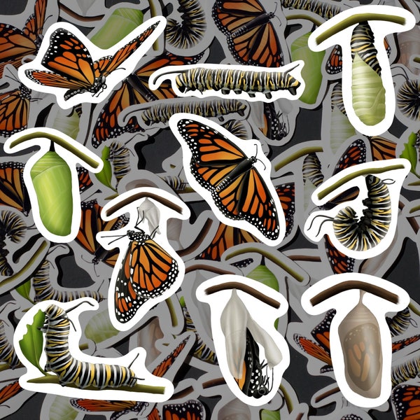 Monarch Butterfly Life Cycle Stickers Butterfly Decals Caterpillar Stickers Insect Stationary Waterproof Monarch Lifecycle Craft For Teacher