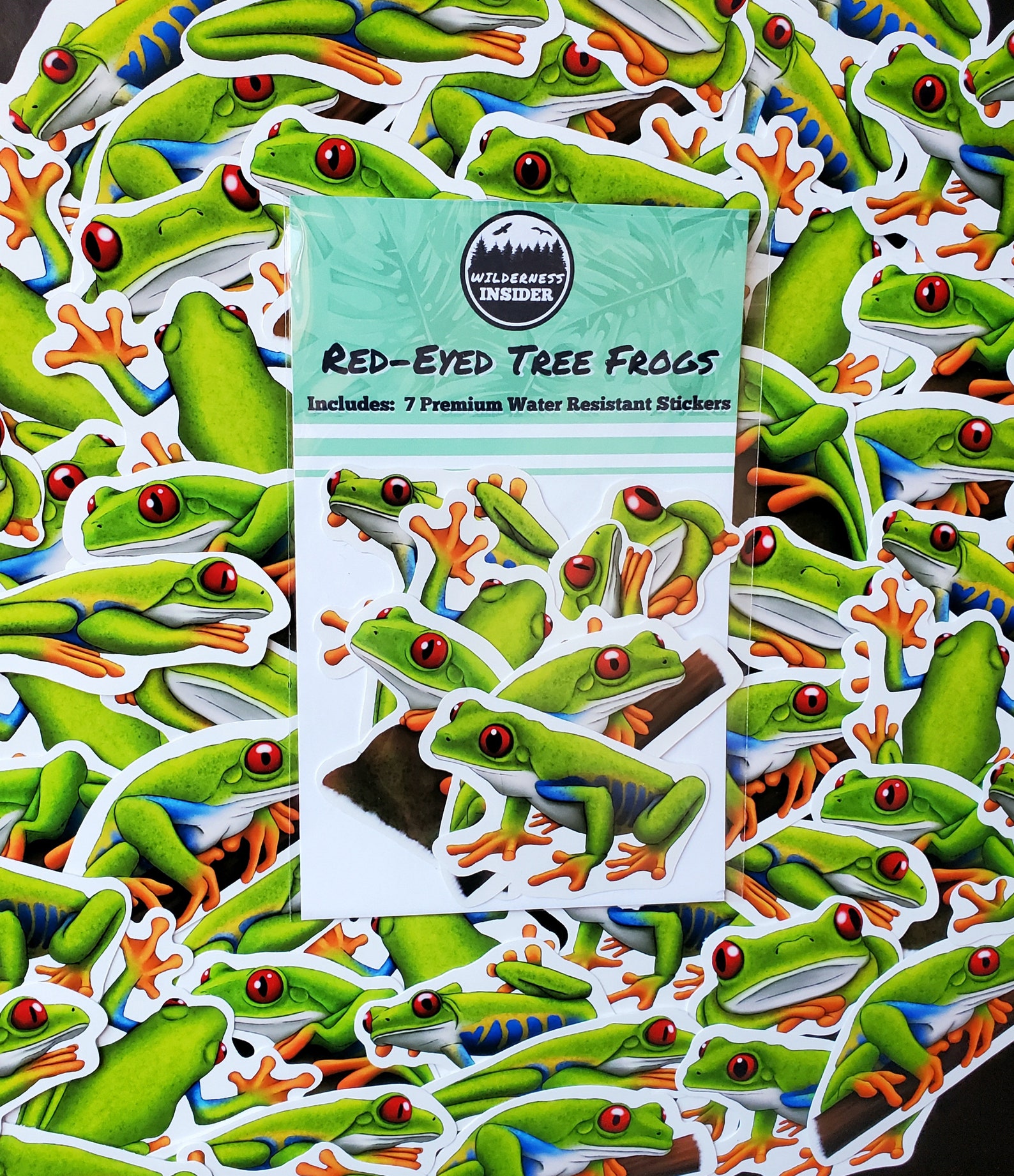 Red Eyed Tree Frog Sticker Pack Waterproof Vinyl Decal Amphibian ...