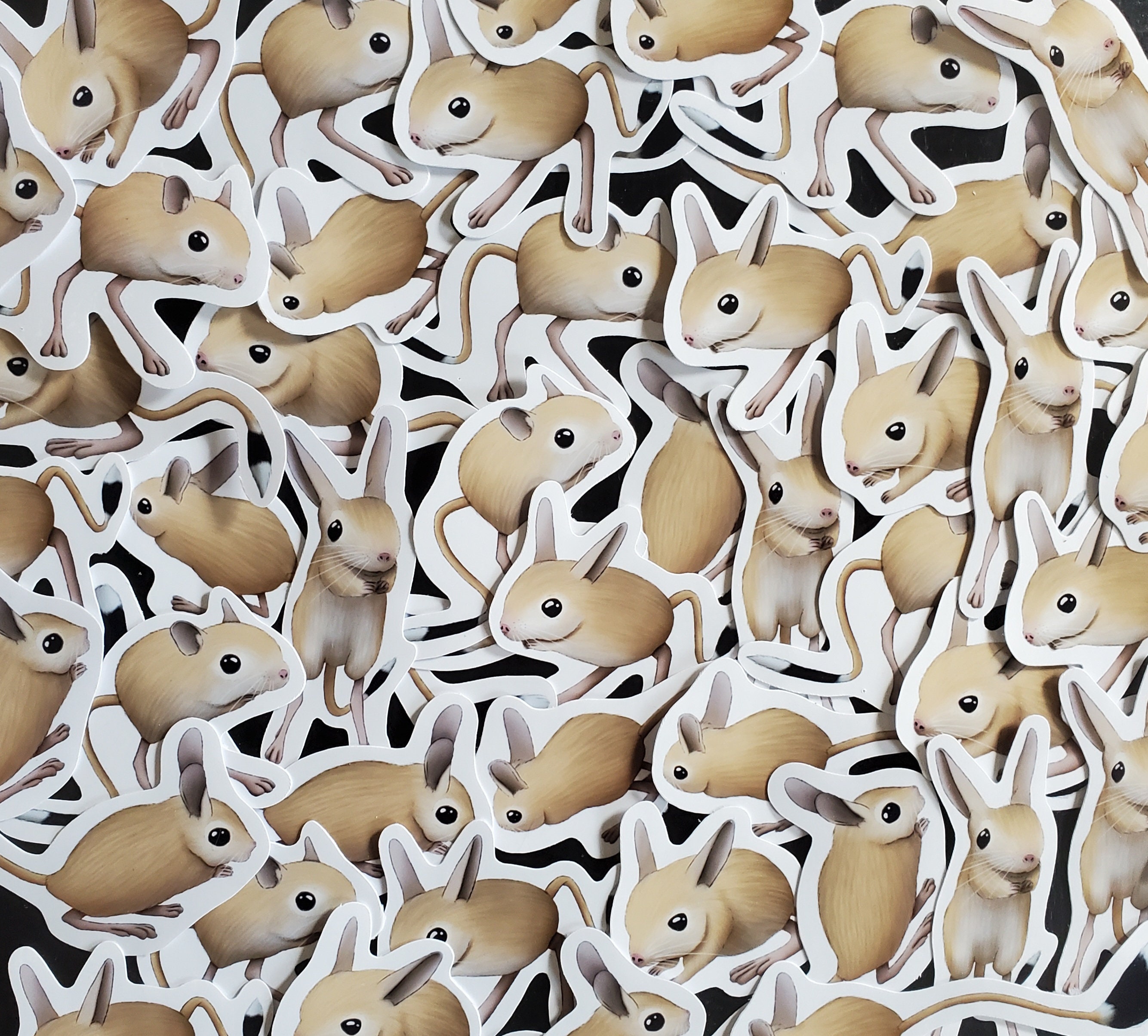Jerboa Sticker Pack Desert Wildlife Decals Exotic Rodent Stickers Cute ...