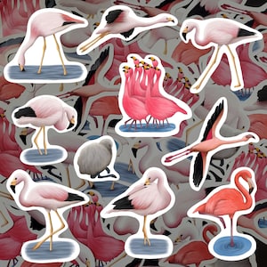 Flamingo Sticker Pack Tropical Bird Decals Waterproof Vinyl Flamingo Lover Gift Pink Bird Stationery Gift for Birdwatchers For Water Bottle
