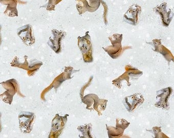 The Secret Life of Squirrels II Digital Scattered Squirrels Y4222
