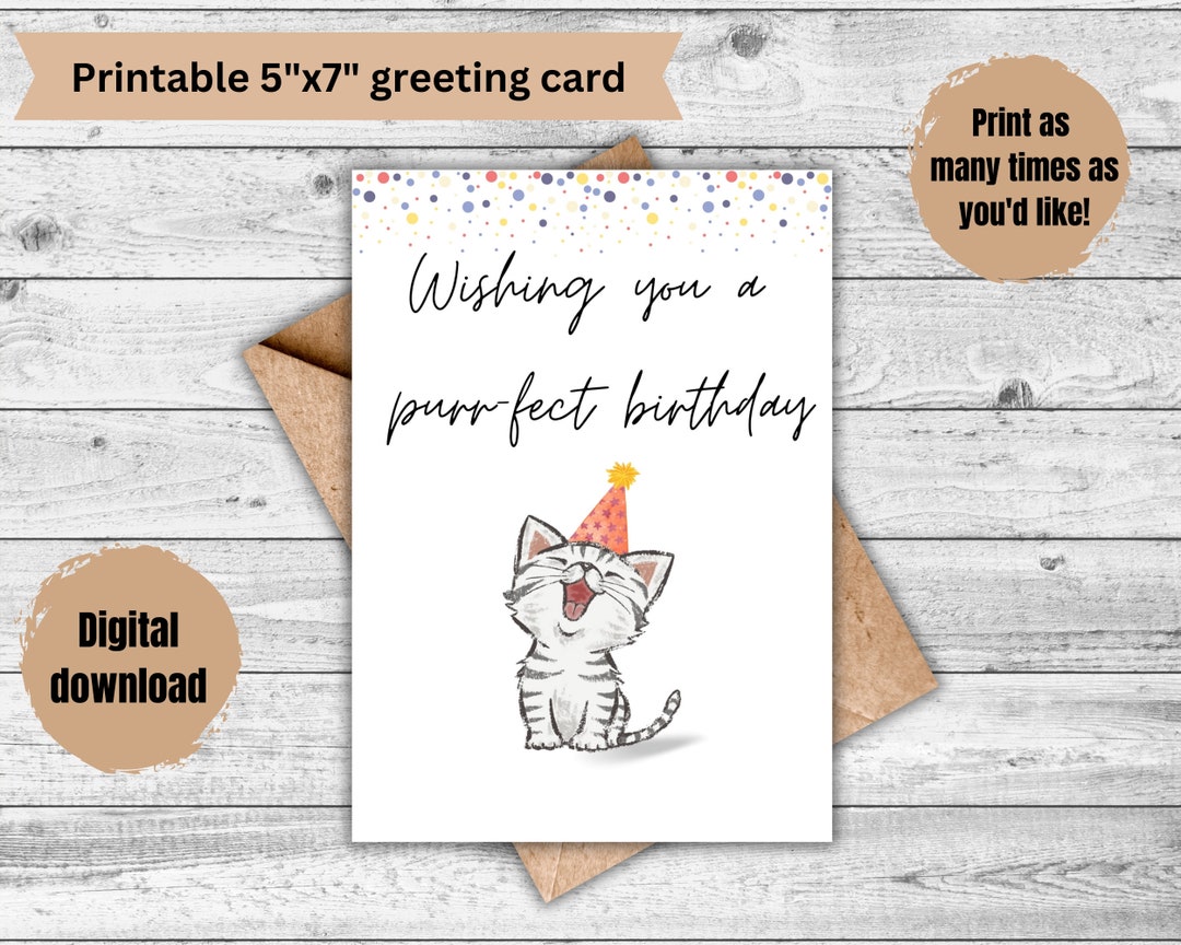 1 X Greeting Card BW - Cute Cat Audience Grey White