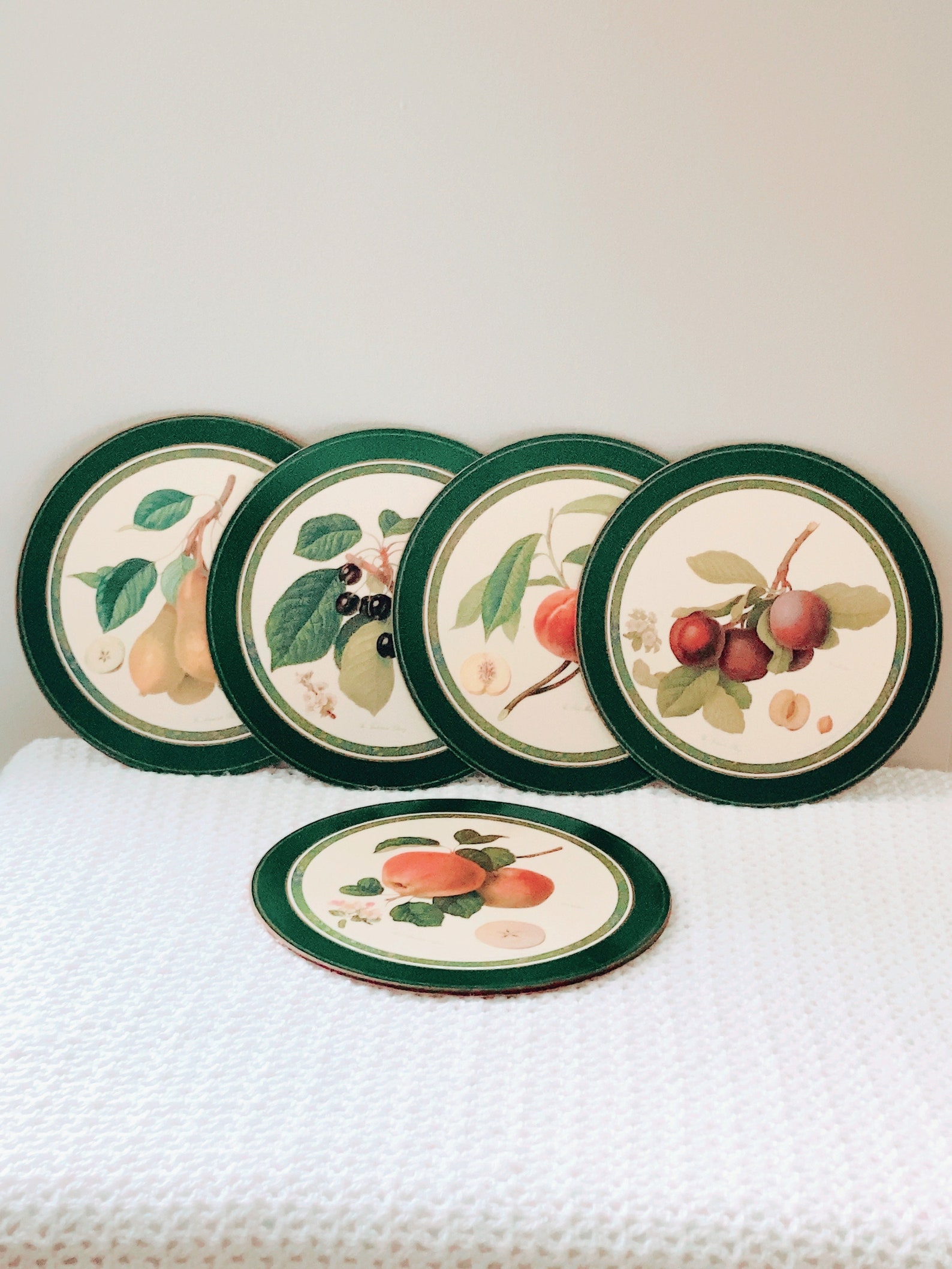 Set of 5 Botanical Fruit Trivets Placemats Cork Etsy
