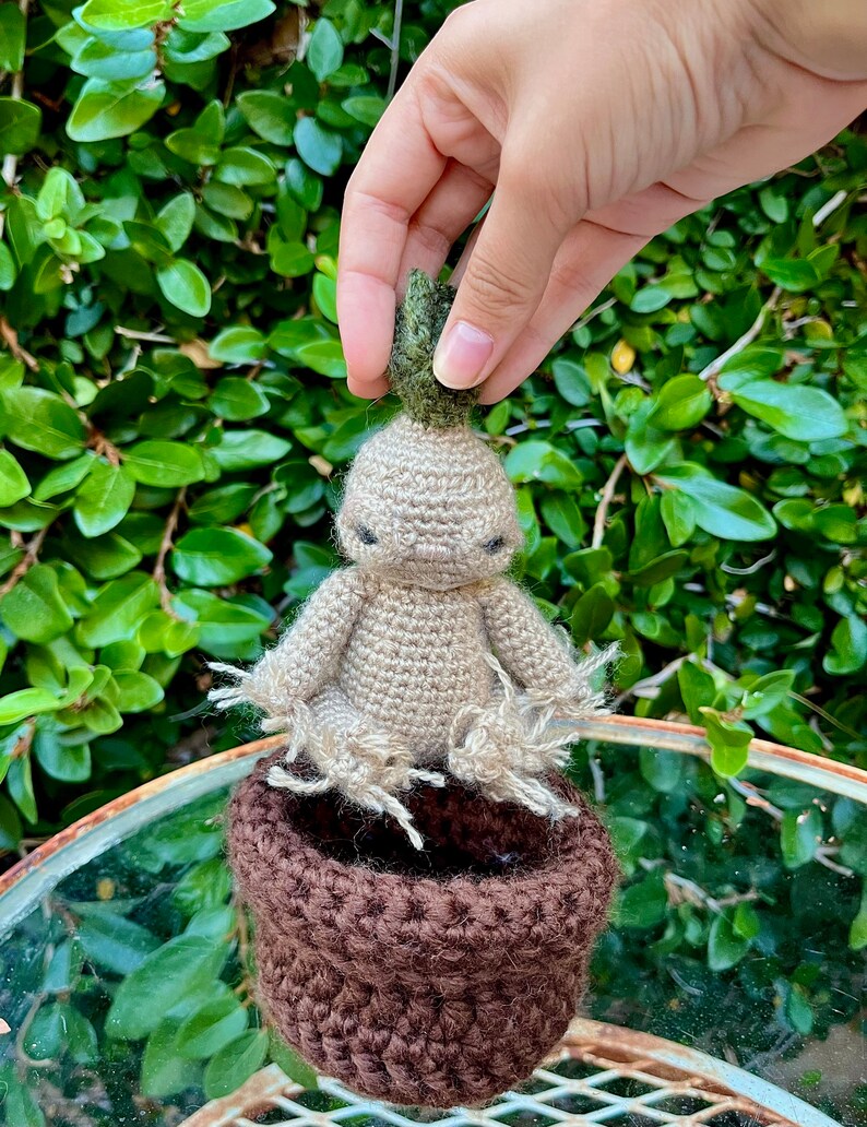 Mandrake Crochet Pattern Etsy