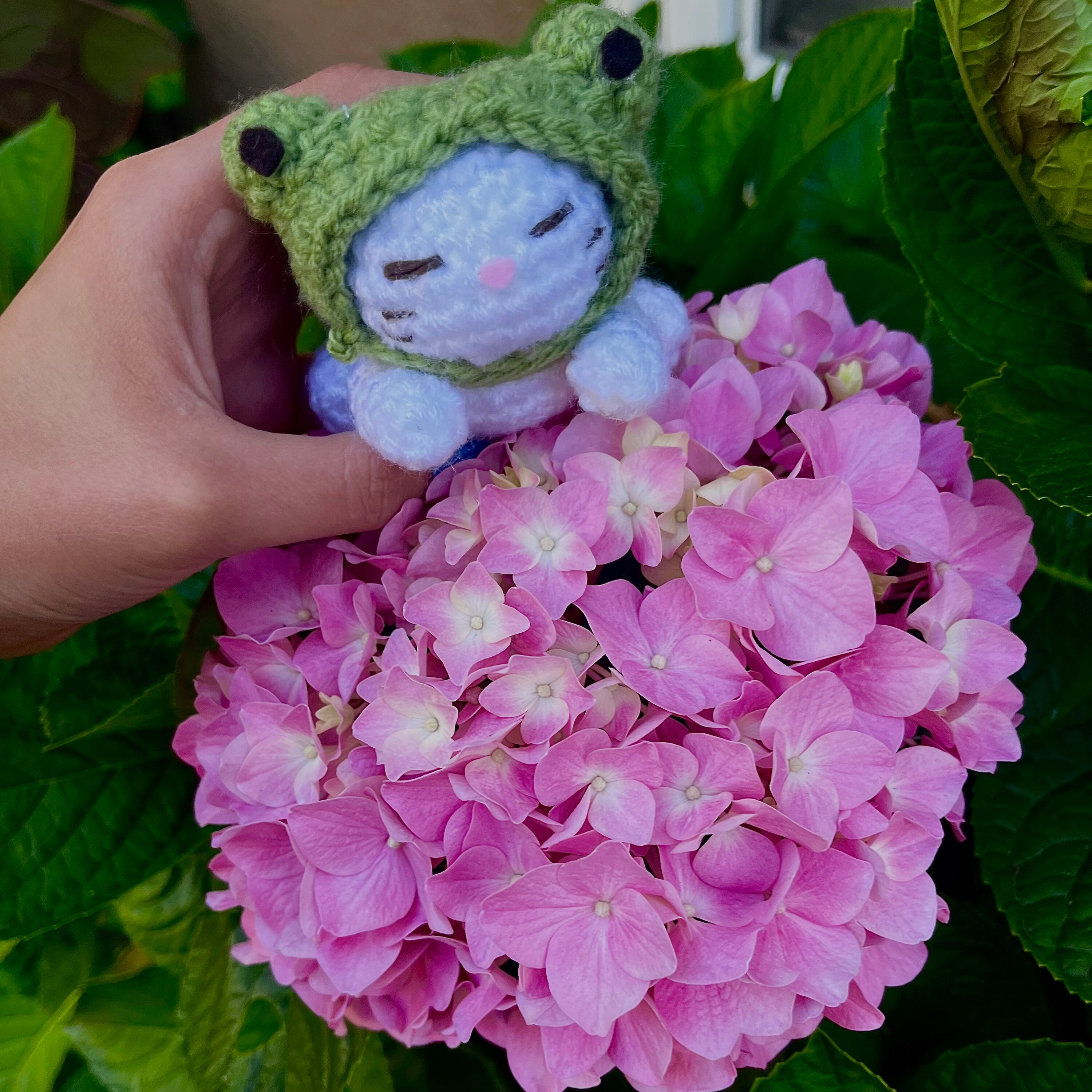 Cat in Frog Costume Crochet Pattern Etsy