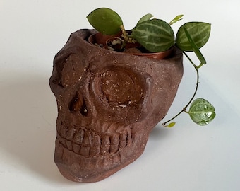 May include: A brown ceramic skull planter with a small green plant growing inside. The plant is trailing over the edge of the planter.