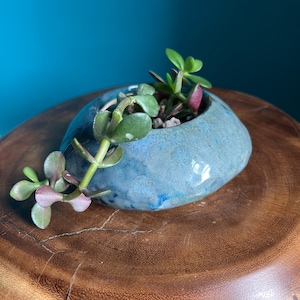 May include: A small blue ceramic planter with a succulent plant growing inside. The planter is sitting on a wooden surface.