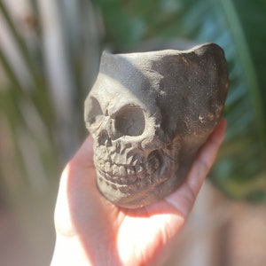 May include: A black skull-shaped planter made of ceramic. The planter has a rough, textured surface and is ideal for displaying small plants or succulents.