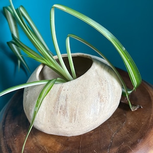 handmade ceramic 6” planter: rustic pebble design w drainage hole