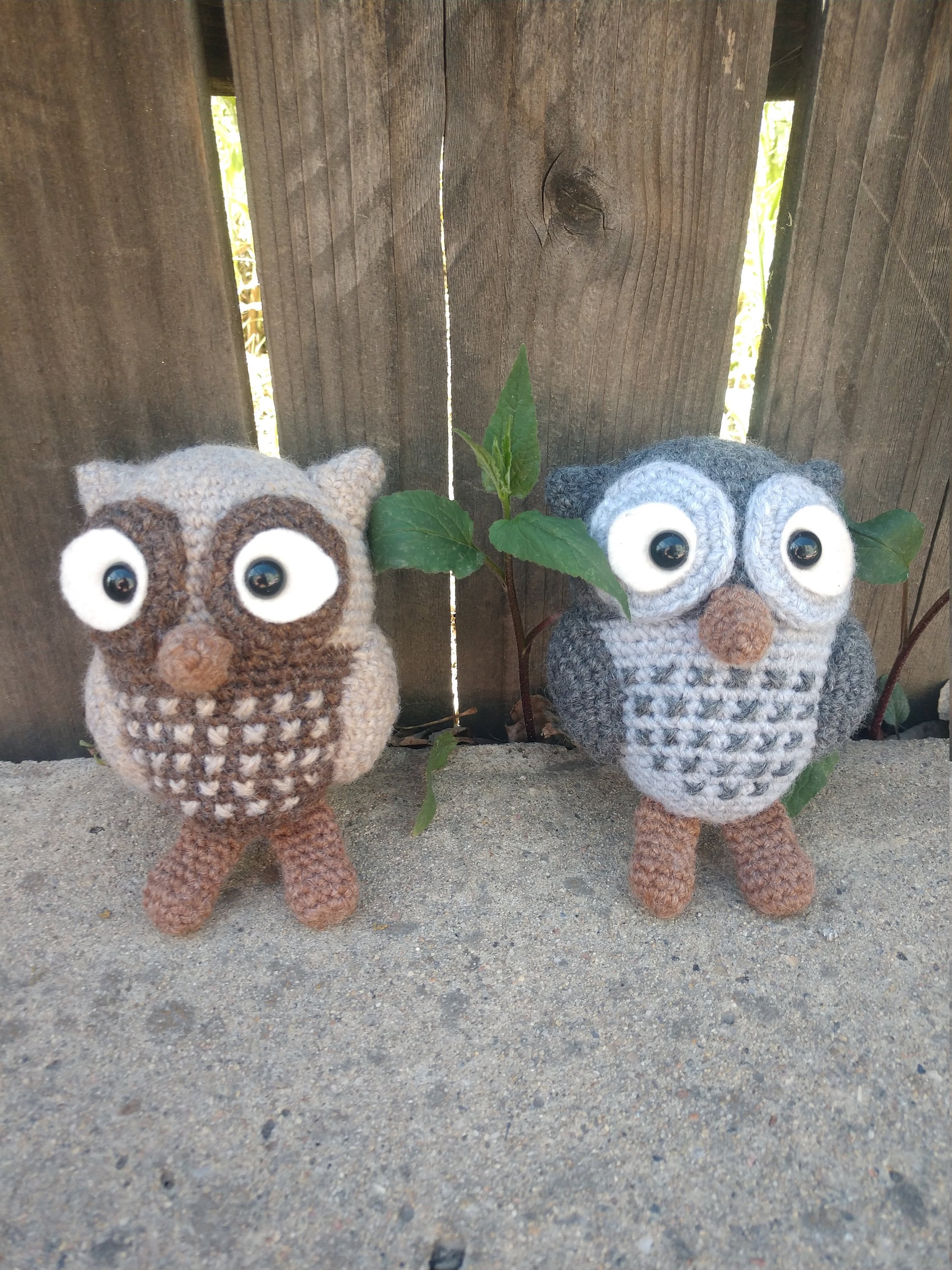 Hootie Owls