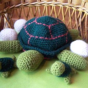 Mama Turtle with Babies and Eggs