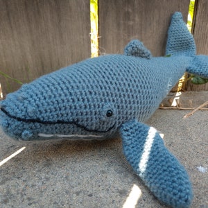 Humpback Whale