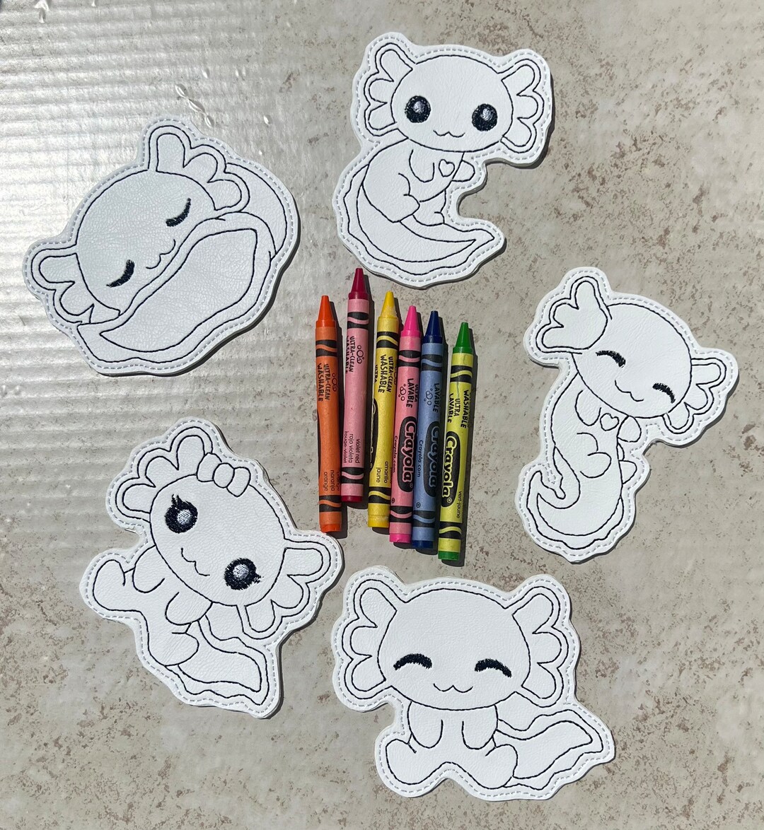 Axolotl Reusable Coloring Set - Etsy