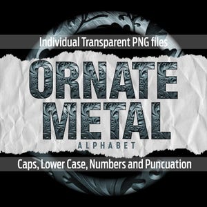 May include: Ornate Metal Alphabet font set. The letters are made of a silver metal with an intricate floral design. The letters are uppercase and lowercase, numbers, and punctuation marks.
