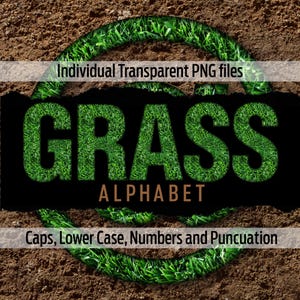 Puede incluir: Imagen que muestra la palabra "GRASS" en letras verdes con textura de hierba sobre un fondo negro. La palabra "ALPHABET" está debajo en naranja. El texto superior e inferior dice "Individual Transparent PNG files" y "Caps, Lower Case, Numbers and Punctuation."