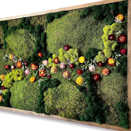 Moss Wall Art Large Preserved Moss Frame Living Wall Plant Etsy