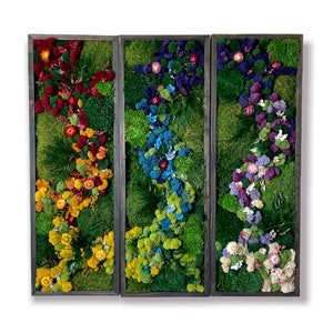 Moss Wall Art, Large Living Wall, Preserved Moss Artwork, Framed Moss Art, Colorful Moss Wall Decor, Rainbow Moss Wall Art, Natural wall Art