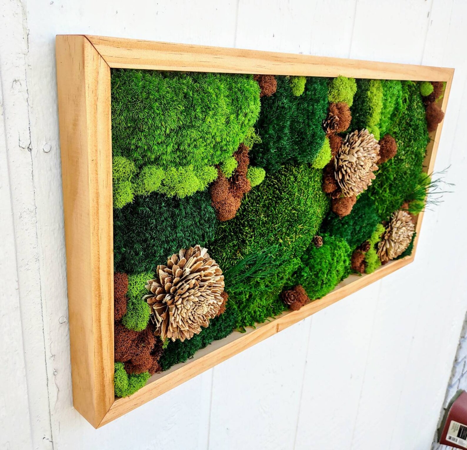 Moss wall art Large Preserved Moss Frame Living Wall Plant Etsy