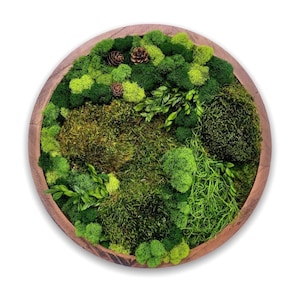 Moss wall art, Preserved Moss Circle, Living Plant Decor wall art, Real Circular Moss Art