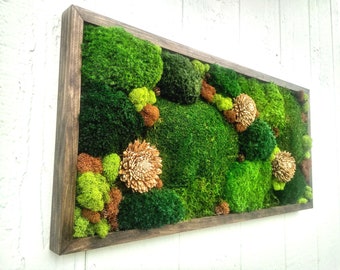 Moss wall art, Large Preserved Moss Frame, Living Wall, Plant Decor Wall Art, Real Moss Art, Housewarming Gift
