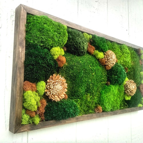 Moss Wall Art Large Preserved Moss Decor Living Plant Decor Etsy