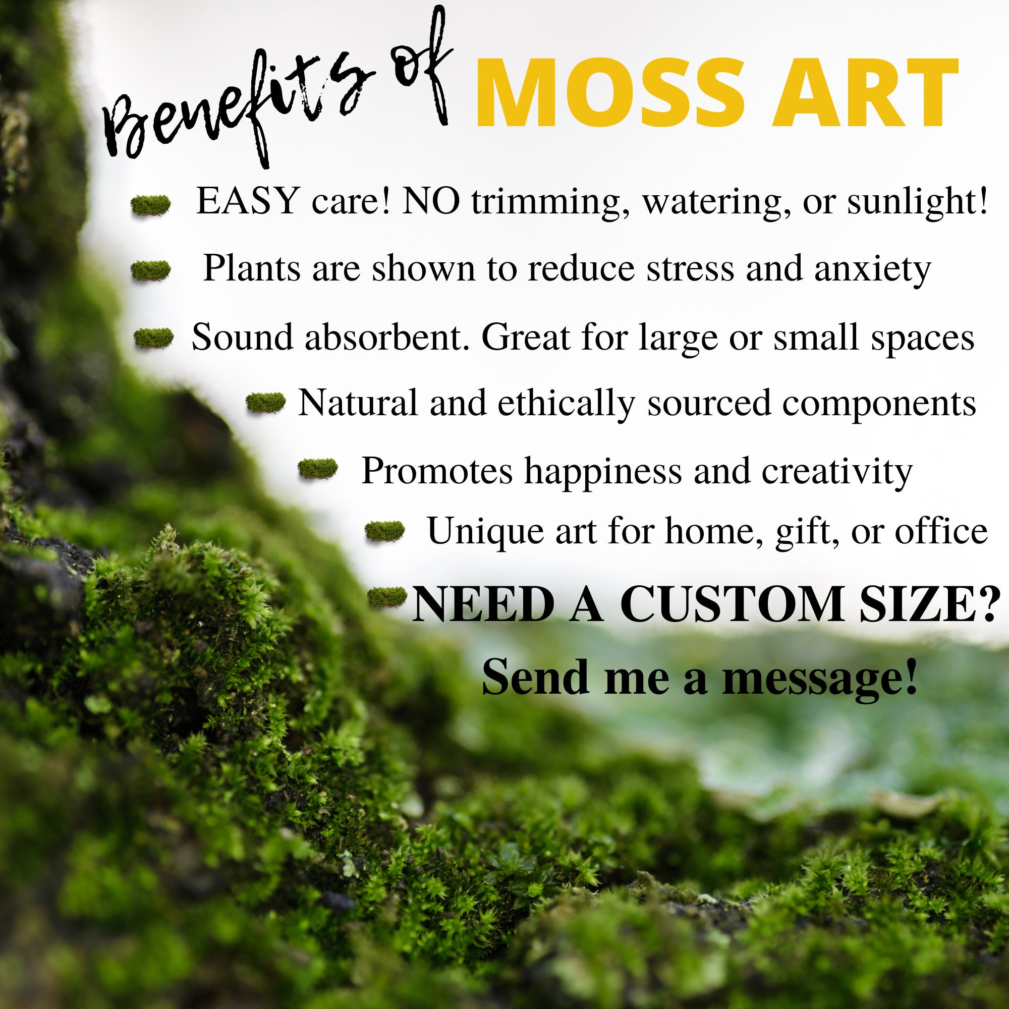 Moss Wall Art, Large Preserved Moss Decor, Living Plant Decor, Real Moss  Art Frame, Housewarming Gift 