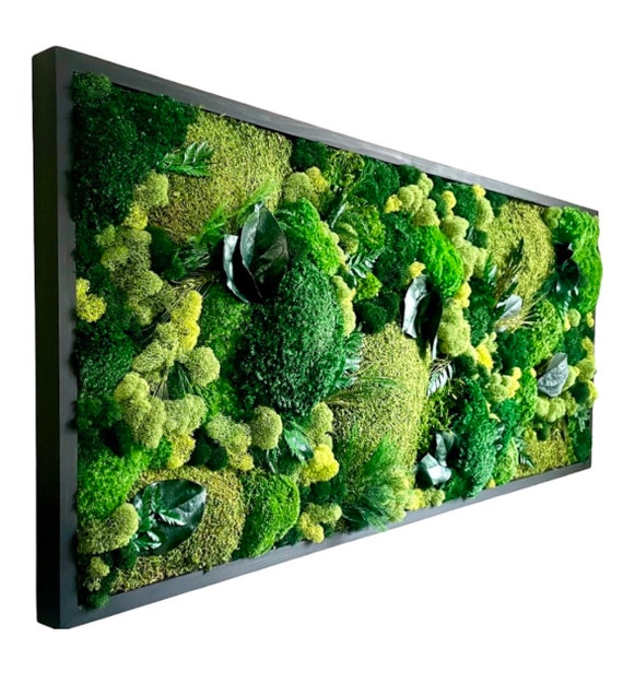 Moss Wall Art Large Living Wall Preserved Moss Artwork Etsy