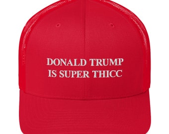 Biden For President ball hat red MAGA Parody 