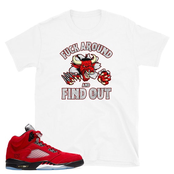 toro bravo jordan 5s