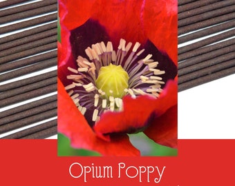 Opium Incense Sticks -Handmade -Bulk-Wholesale-100 sticks-Free Shipping