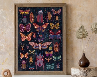 Insect Entomology Jewel Study Poster Illustration