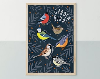 British Garden Birds Illustration Print
