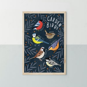 British Garden Birds Illustration Print