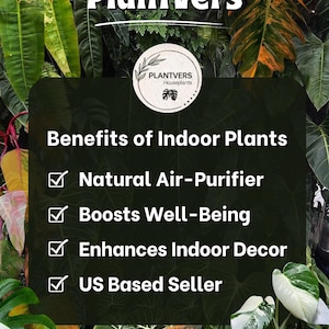 May include: A rectangular informational graphic titled PlantVers featuring a list of benefits of indoor plants including natural air-purifier, boosts well-being, enhances indoor decor, and US based seller, set against a background of various green and variegated leaves.