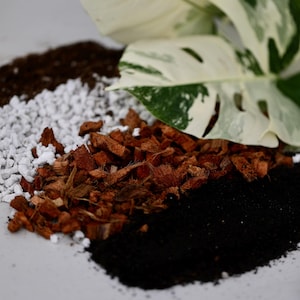 May include: Close-up of four different types of potting soil: black soil, white perlite, brown coconut coir, and a layer of brown bark. A variegated leaf with green and white markings is partially visible in the top right corner.