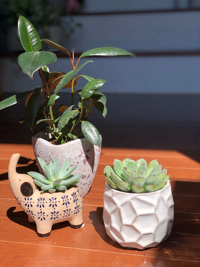 Decorative 4 Ceramic Pot for Indoor Plant Ceramic Home Etsy