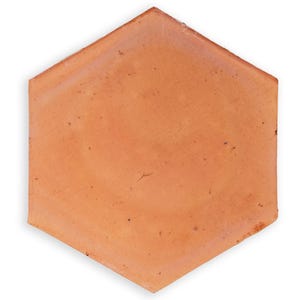 May include: A single, hexagonal terracotta tile. The tile has a warm, reddish-orange hue with subtle variations in color and texture. The edges are slightly uneven, and there are minor imperfections on the surface.