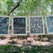 Set of 2 Hand-pulled Linocut Prints - Any combination of "In the Morning Glory," "Mountain Longing," "Green Thumb," and "Waves"