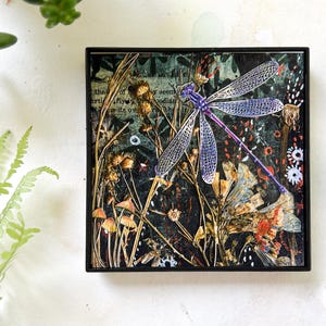 Stampa di libellula incorniciata: arte floreale pressata, regalo di entomologia