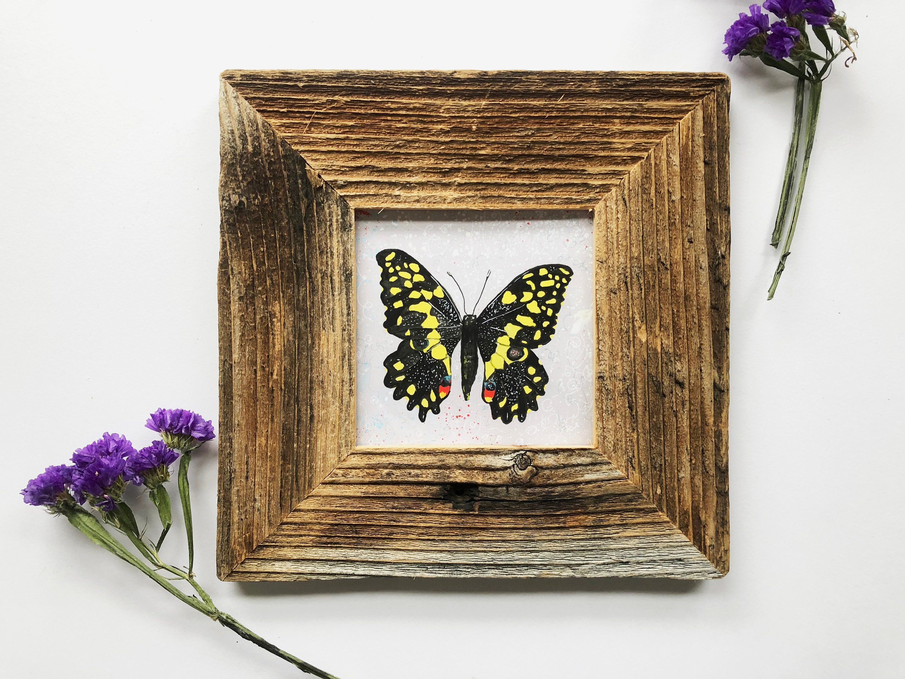 Framed Butterfly Art Original Butterfly Print Framed Etsy