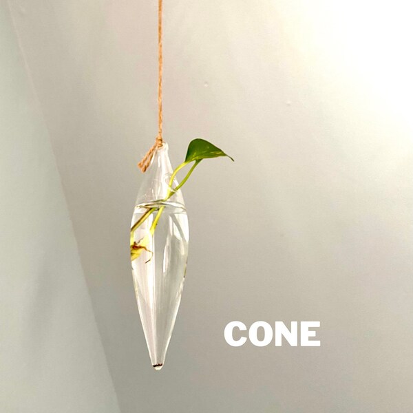 Clear Glass Propagation Plant Hanging Terrarium