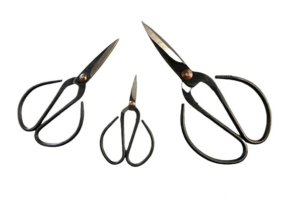 Indoor Plant Propagation Scissors Etsy