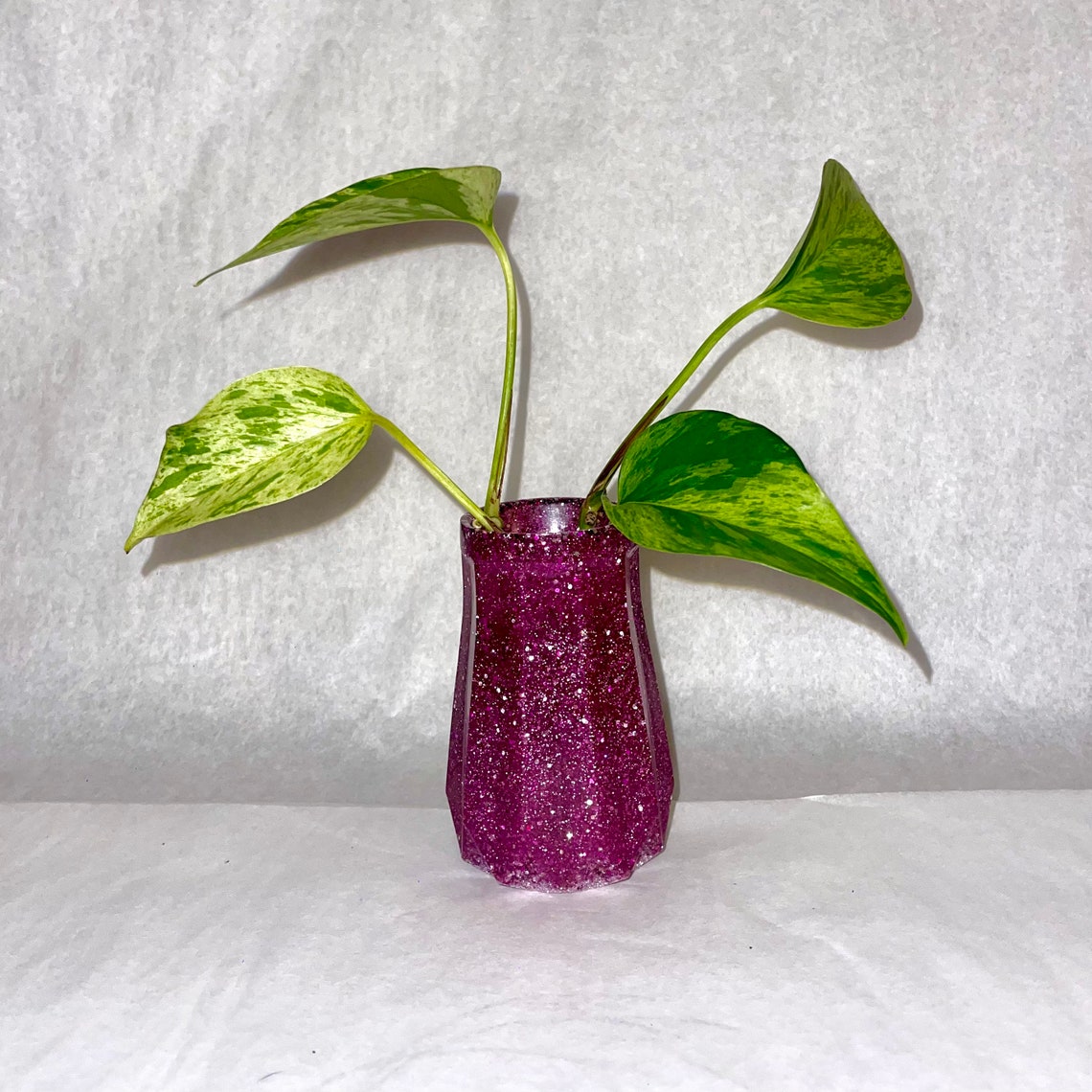 Bold Colored Propagation Glasses Handmade Vases With Etsy