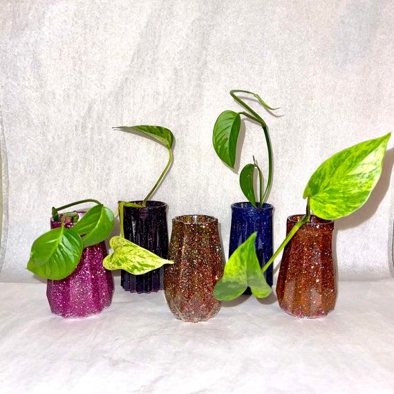 Bold Colored Propagation Glasses Handmade Vases With Etsy