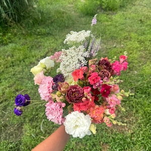May include: A bouquet of colorful flowers in shades of pink, purple, white, and red. The bouquet includes various types of flowers, such as roses, carnations, and snapdragons.